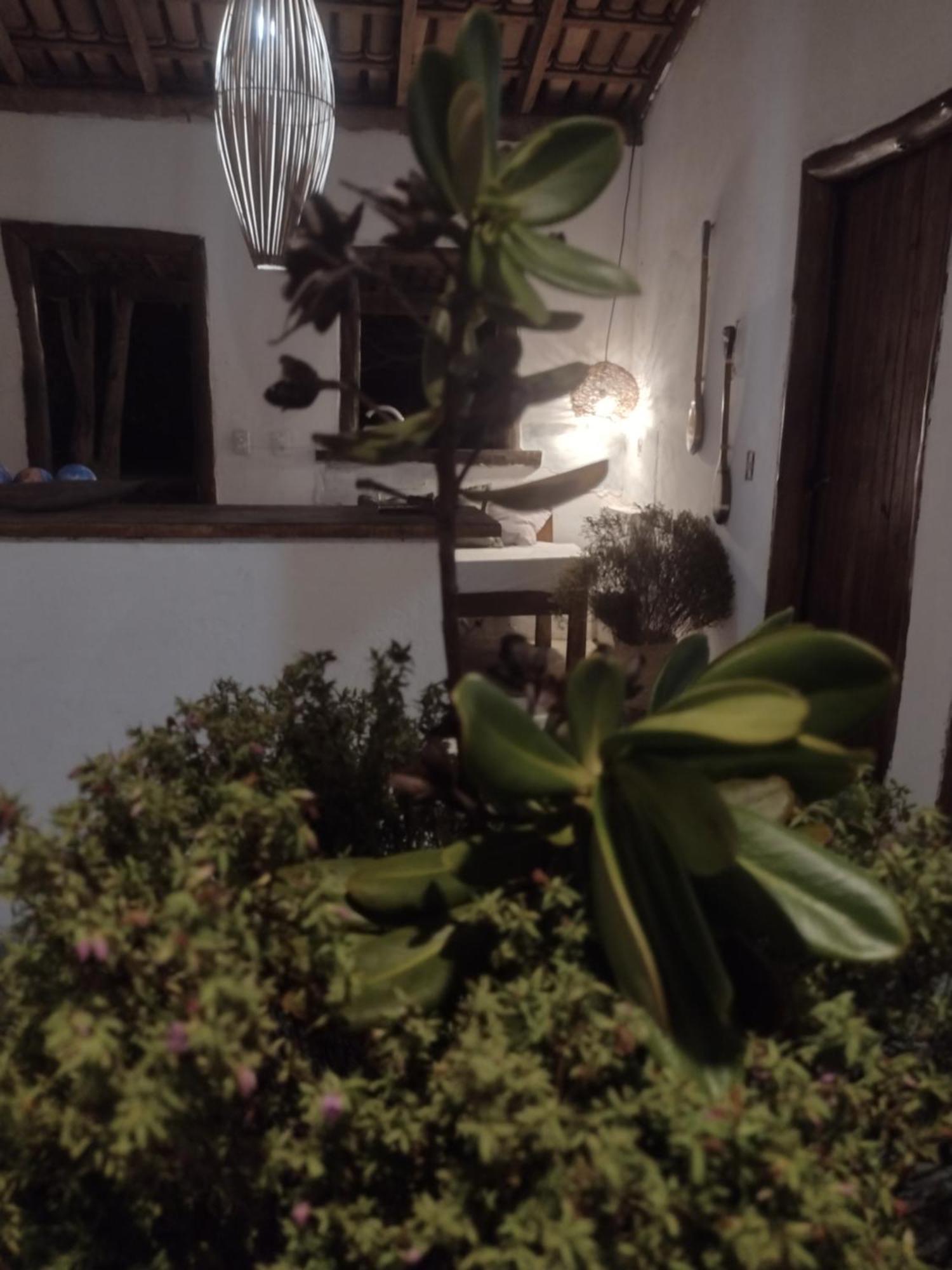 Mata House Nova Caraiva Albergue *