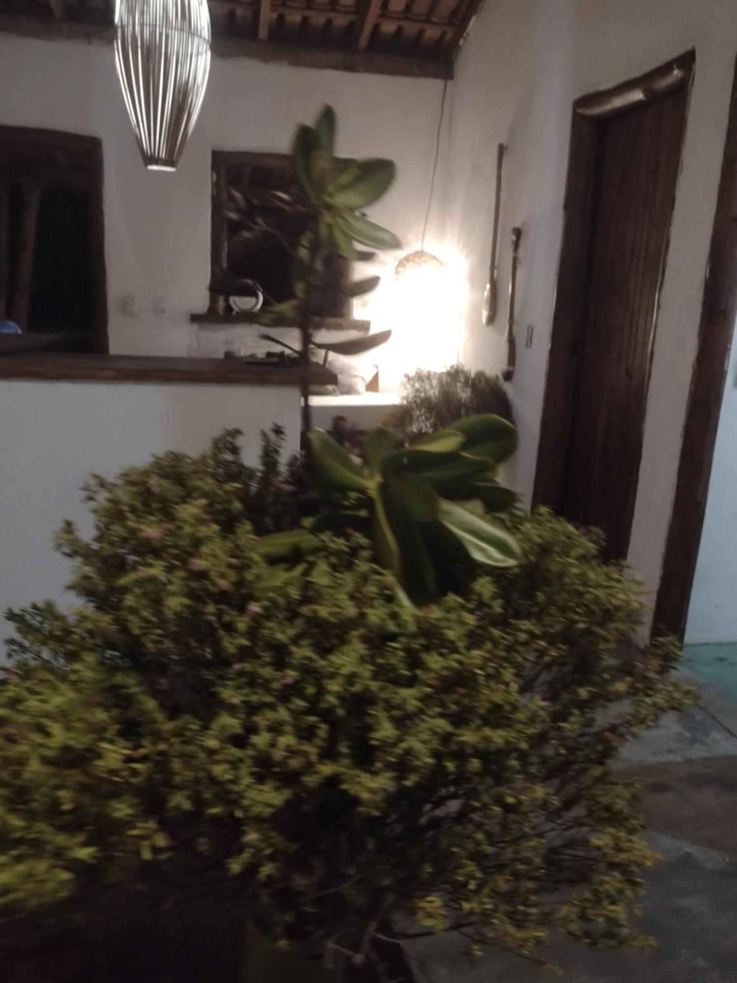 Mata House Nova Caraiva Albergue Porto Seguro